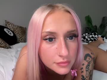 Cam for stellacorbet