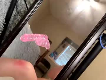 Cam for zootieswettime