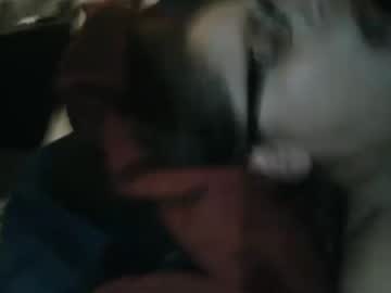 Cam for d8qu33n