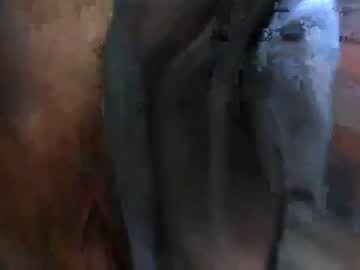Cam for big_mam