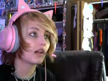 Cam for penguin_effect